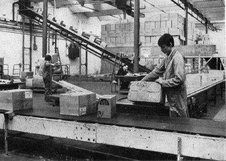 Goods on their way to the railhead in the original Woolworths Distribution Centre in Castleton in the period 1967-1971